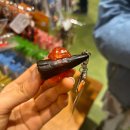 그루미뇽 | Japón에서 살아남기