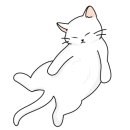 가성비잼