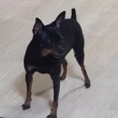 신대동물병원 이미지