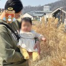 자연과 거람 네이버블로그