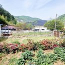 410민박 이미지