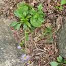 남원지리산공인중개사사무소 | 깜짝 나들이 [ft. 지리산 시암재, 성삼재, 뱀사골}