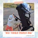 플러스원카크리닉 | 아기 유모카 에이블 스핀플러스 유아 트라이크 내돈내산 실사용 후기