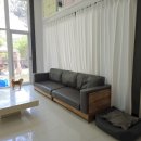 위드펫 빌리지 이미지