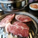 새돼지식당