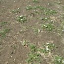 낙안농장 이미지