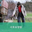 서호요양원 네이버블로그