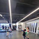 강화 용인대 복싱클럽 이미지