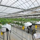 가평군농업기술센터 이미지