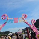 가든 피어 | 포천 한탄강 가든페스타 후기 Y자 출렁다리 아이와 가볼만한곳