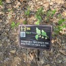 나혼자서, 봄 나들이 이미지