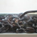 베스트명성체육관 이미지