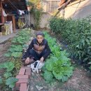 # 금포국민학교졸업 장세영이용소 금빛대학졸업.&amp; 이미지