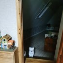 소미갈비찜 이미지