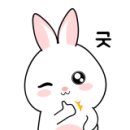 (주)세주투어 이미지