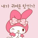 수풀림케이크 이미지