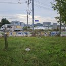 성주(선남) U왜관15-왜관440(없음)-왜관439 이미지