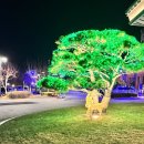 솔샘농장 이미지