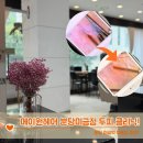 가림이 힐링 | 두피 고민 해결! 분당 미금역 미용실 메이원헤어, 가림 디자이너 두피클리닉 후기