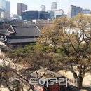세실 이미지