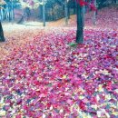 구본주스튜디오