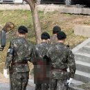 임소초 이미지