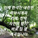 자연향기민박 이미지