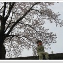 구공설운동장 이미지