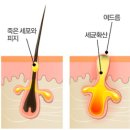 맑은물빛의원 이미지