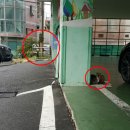 남목 목관비 네이버블로그
