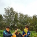 김진오농장 네이버블로그