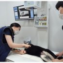 오류동물병원 이미지