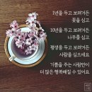 주현미(조PDteat)ㅡ사랑한다 이미지