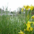 함주공원 이미지