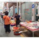 강구식자재마트 앞 이미지