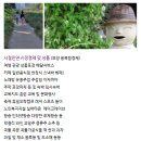 R보양 새로운STSS감염병 및시장경제이모저모 이미지