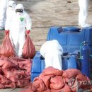 고향자녀농장 이미지