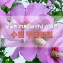 세븐일레븐 경기대점 네이버블로그