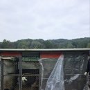 복사골농장 이미지