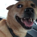 건강밝은약국 이미지