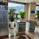 글래드얼라이언스 이미지