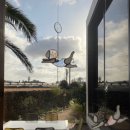 하일리 제주 이미지