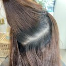 월성동 1287 이미지