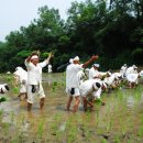 공청경로당 | 마을과 사회생활