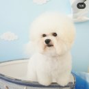 워킹포드림 이미지