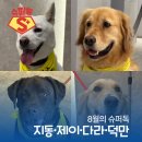 제이 에스 메디칼 네이버블로그