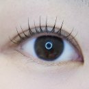 상남동179 | 창원속눈썹펌 / 늦게까지 운영하는 창원 상남동 속눈썹 맛집 원앤온리아이래쉬 내돈내산 솔직 후기