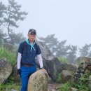 봉래산(395m) & 절영해안길 태종사 수국축제 / 부산 영도 이미지