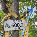 양각지맥 중 반가운 시그널 이미지