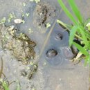 송탄농협미곡종합처리장 이미지